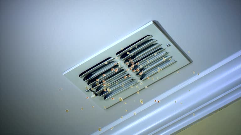 Best Affordable HVAC Duct Cleaning  in Santee, SC